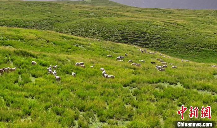 焦点平台官方：新疆昆仑山大峡谷景色壮观